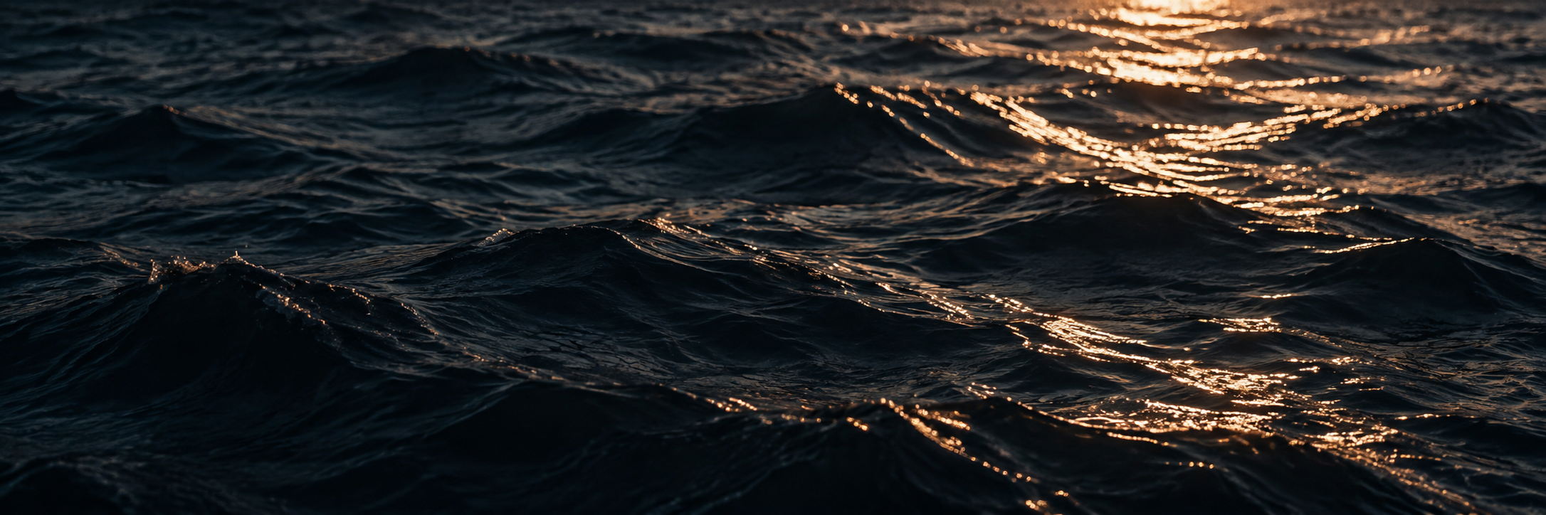 Dark Lake Michigan waves reflecting warm light